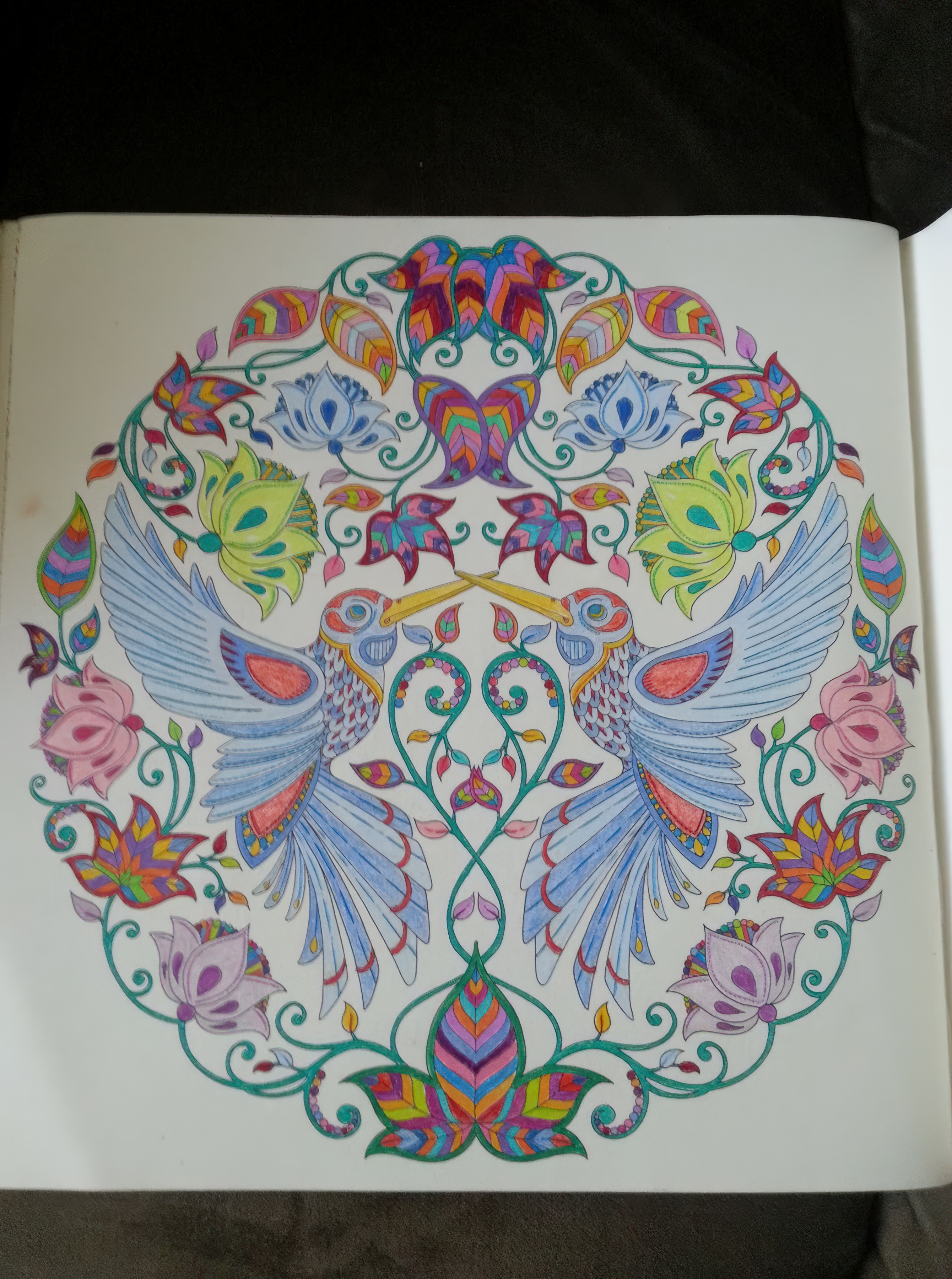 art_color_pencil2.5x