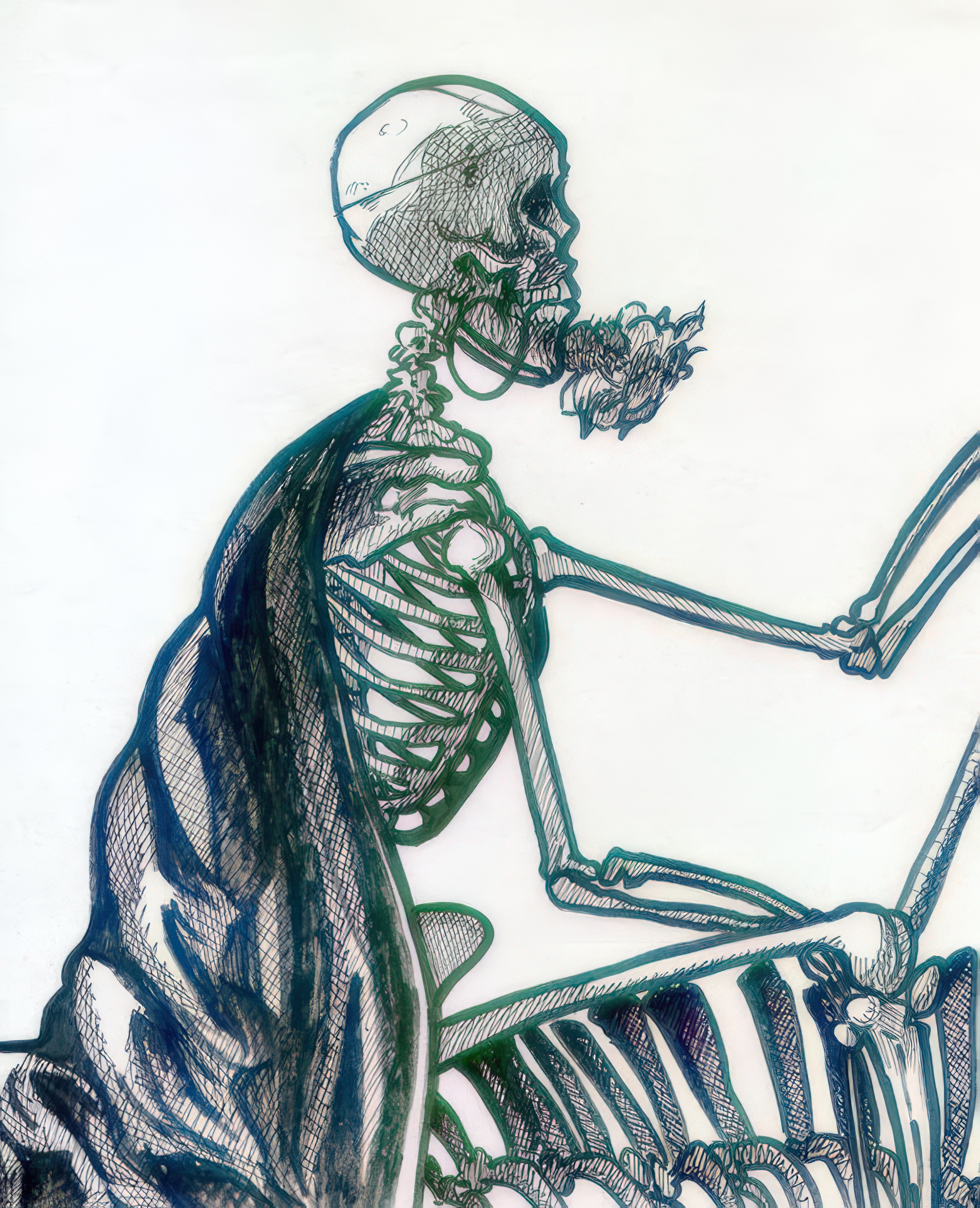 art_skull_n_rose_art_skull_n_rose