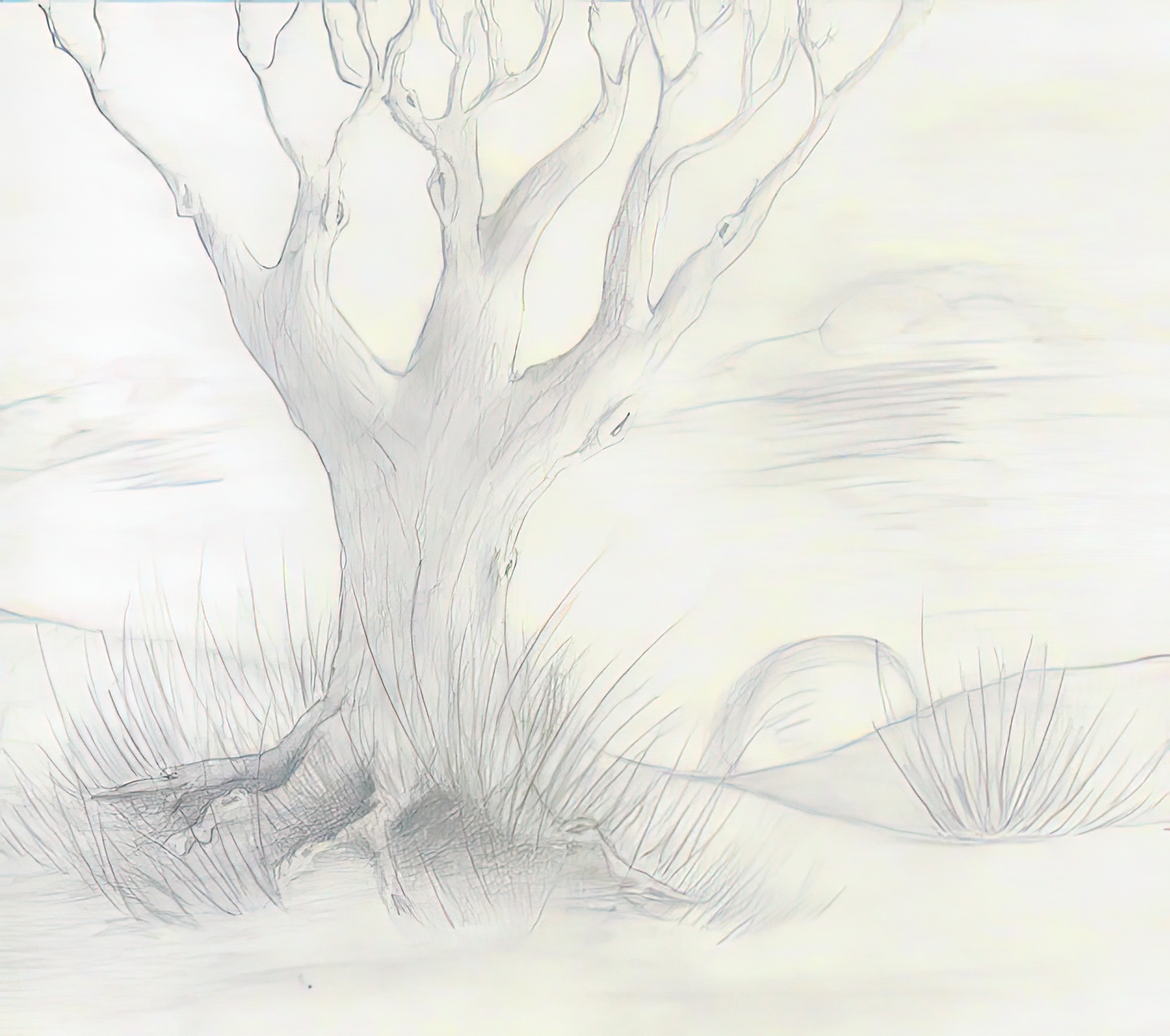 art_tree_still_life_art_tree_stilllife