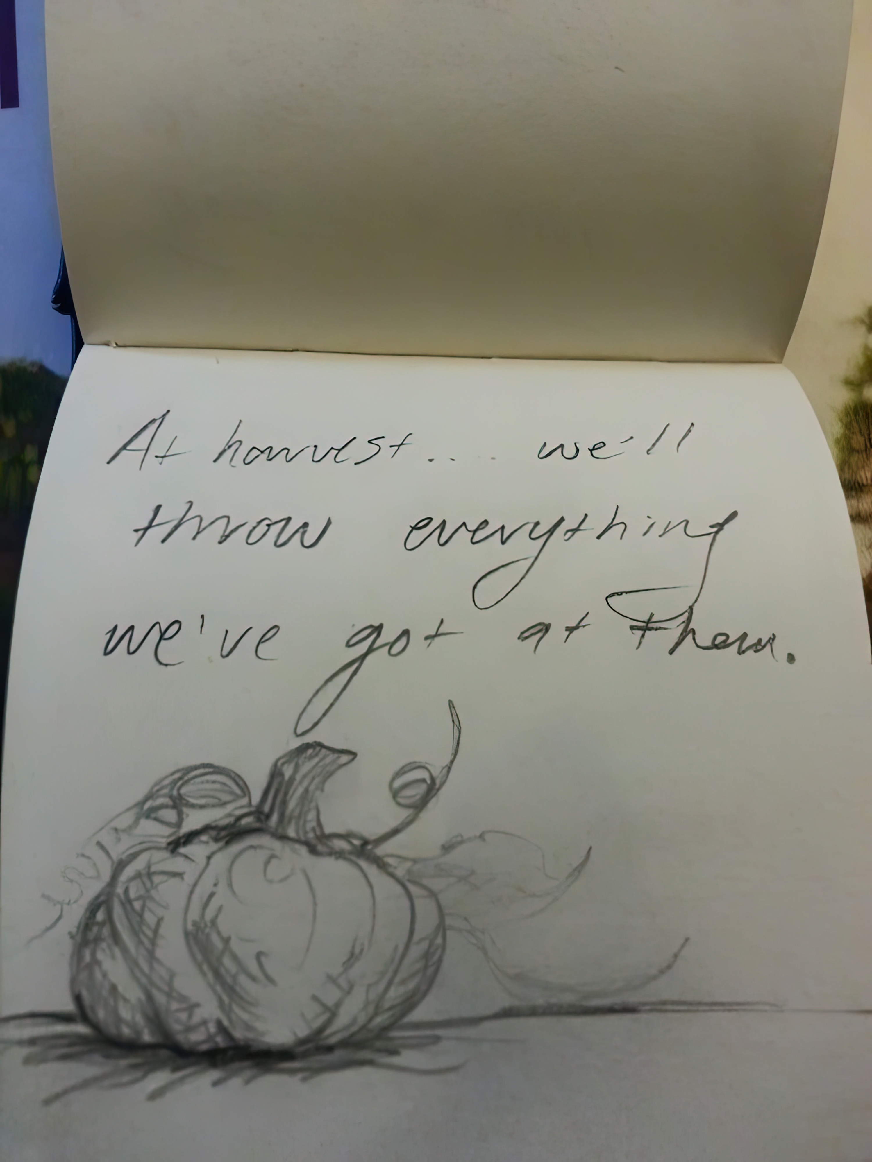 harvest_doodle