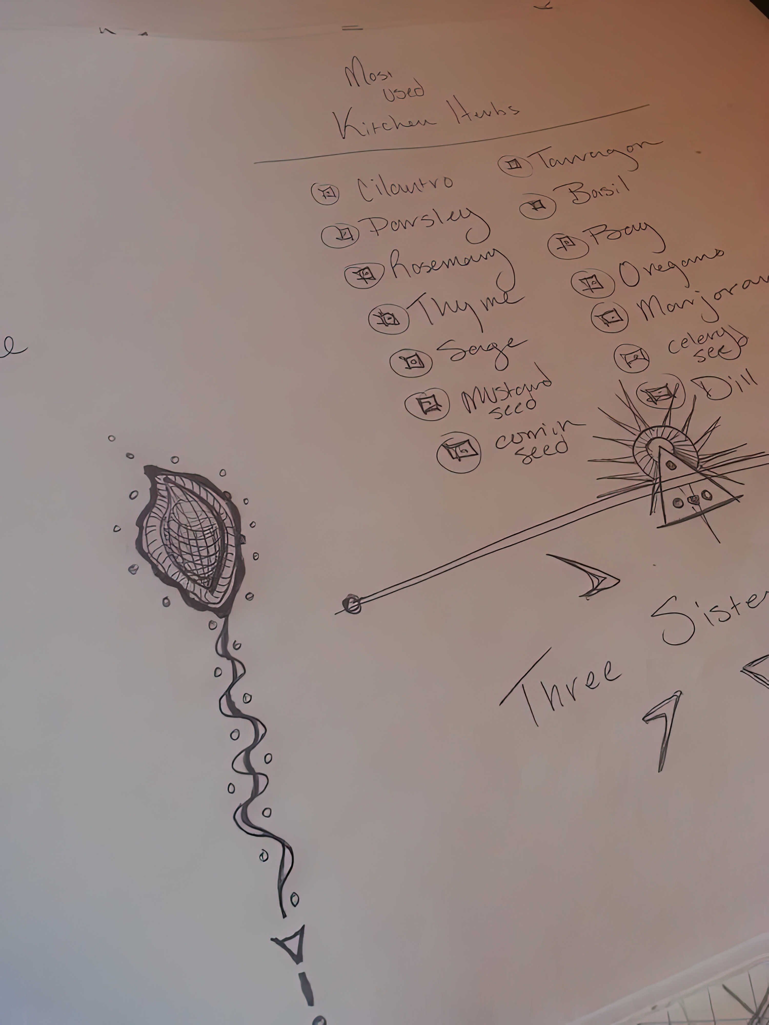 kitchen_herbs