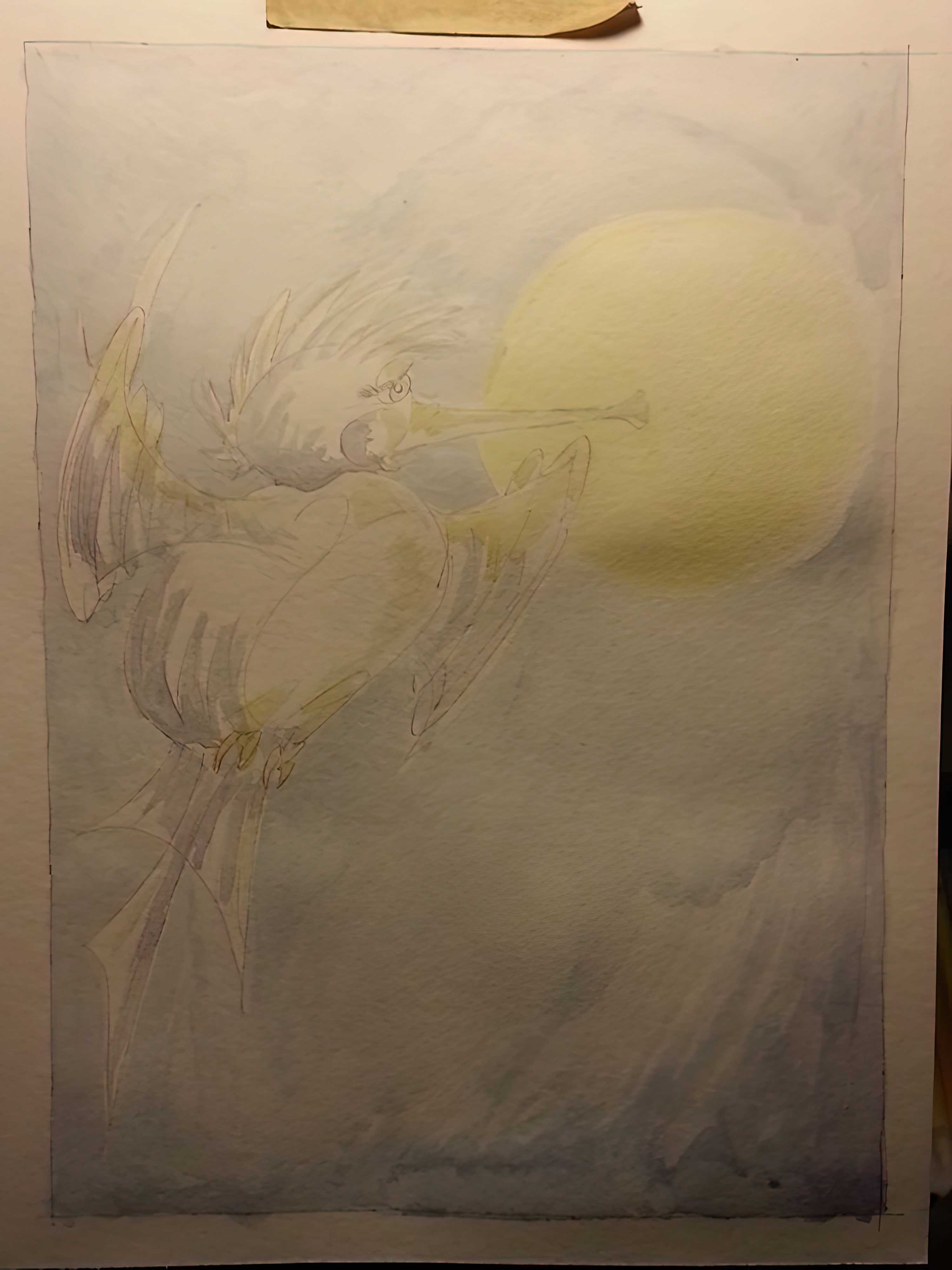 watercolor_bird_start